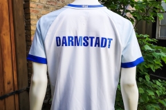 Darmstadt-2018-19-2