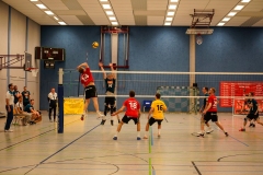 Dessau_Volleys-USC_Magdeburg-04.03.23-63
