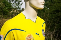 FC_Rostov_Trikot-2011-12-3