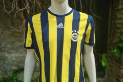 Fenerbahce-2016-17-0