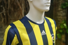 Fenerbahce-2016-17-3