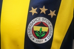 Fenerbahce-Trikot-2015-16-1