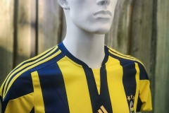 Fenerbahce-Trikot-2015-16-2