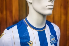 Zeljeznicar-100-Trikot-3