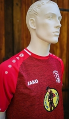 Dynamo-Miri-Trikot-3