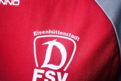 Dynamo-EHST-Sondertrikot-2022-1