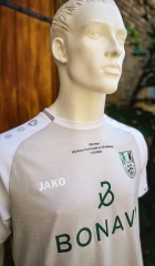 FSV_Union-DFB-Trikot-3