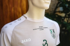 FSV_Union-DFB-Trikot-3