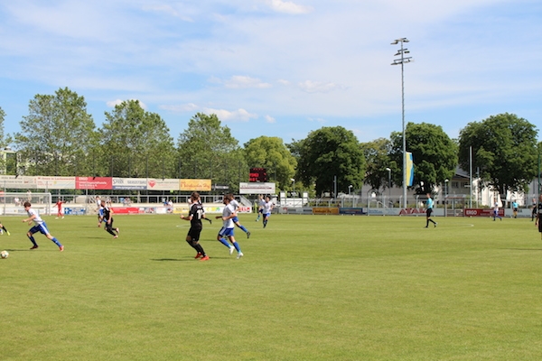 30. Spieltag 2018/ 2019 - Luckenwalde gegen Hohenstein Ernstthal - 2