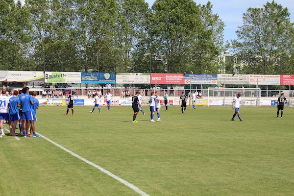 30. Spieltag 2018/ 2019 - Luckenwalde gegen Hohenstein Ernstthal - 4