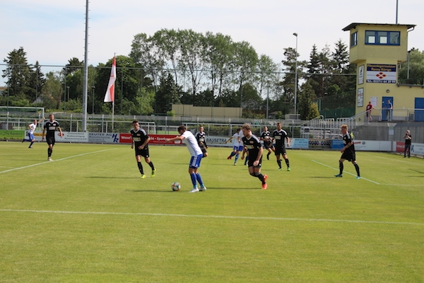 30. Spieltag 2018/ 2019 - Luckenwalde gegen Hohenstein Ernstthal - 9