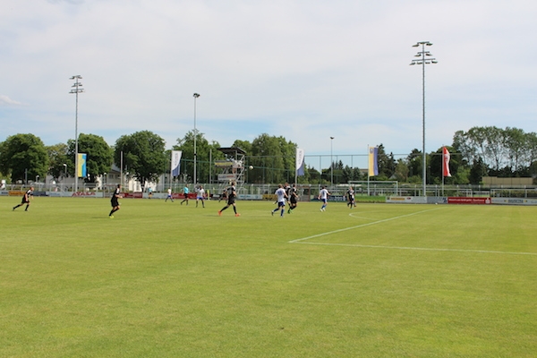30. Spieltag 2018/ 2019 - Luckenwalde gegen Hohenstein Ernstthal - 15