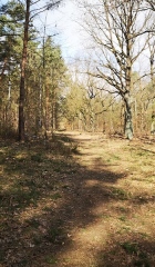 FJB-Tag-1-18