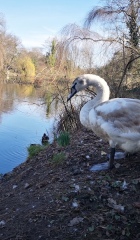 FJB-Tag3-21