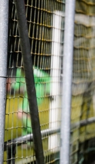 TSV_Kareth_Lappersdorf-SpVgg_Lam-10.03.23-20