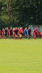 LFCSGS-1