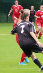 LFCSGS-10