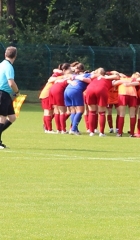 LFCSGS-3