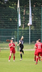 LFCSGS-4