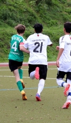 NTSVSVNA10