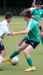 NTSVSVNA19