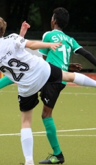 NTSVSVNA25