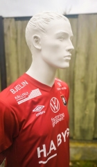 OegryteIS-Trikot-3