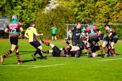 Rugbyunion_Hohen_Neuendorf-Veltener_RC-23.4.22-11