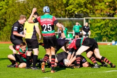 Rugbyunion_Hohen_Neuendorf-Veltener_RC-23.4.22-12