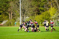 Rugbyunion_Hohen_Neuendorf-Veltener_RC-23.4.22-16