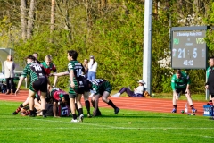 Rugbyunion_Hohen_Neuendorf-Veltener_RC-23.4.22-37
