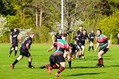 Rugbyunion_Hohen_Neuendorf-Veltener_RC-23.4.22-6