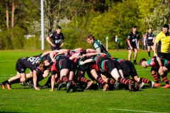 Rugbyunion_Hohen_Neuendorf-Veltener_RC-23.4.22-8