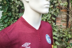 Schalke-Ausweich-2021-22-3