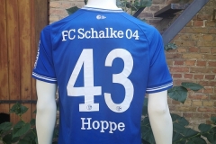 Schalke-blau-3