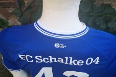 Schalke-blau-4