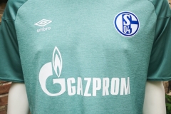 Schalke04-Trikot20-21-1