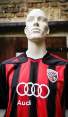 FC_Ingolstadt-11-12-Trikot-Quaner220114_141943-2