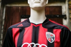 FC_Ingolstadt-11-12-Trikot-Quaner220114_141943-2