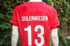 Seilerwiesen-MD-Fantrikot-2