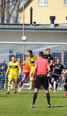 VfB_Krieschow-VFC_Plauen-18.4.22-21