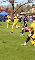 VfB_Krieschow-VFC_Plauen-18.4.22-35