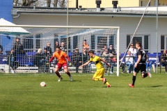VfB_Krieschow-VFC_Plauen-18.4.22-18