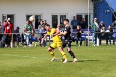 VfB_Krieschow-VFC_Plauen-18.4.22-31