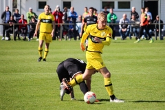 VfB_Krieschow-VFC_Plauen-18.4.22-38