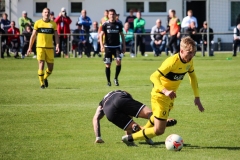 VfB_Krieschow-VFC_Plauen-18.4.22-39