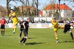 VfB_Krieschow-VFC_Plauen-18.4.22-46
