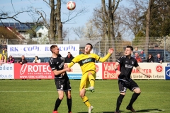 VfB_Krieschow-VFC_Plauen-18.4.22-54