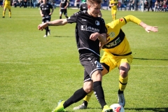 VfB_Krieschow-VFC_Plauen-18.4.22-58