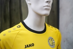 VFC_Plauen-Trikot-2021-22-3